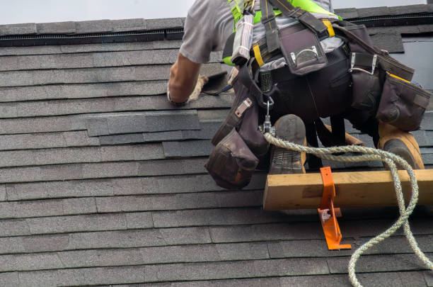 Best Storm Damage Roof Repair  in Montgomery, IN