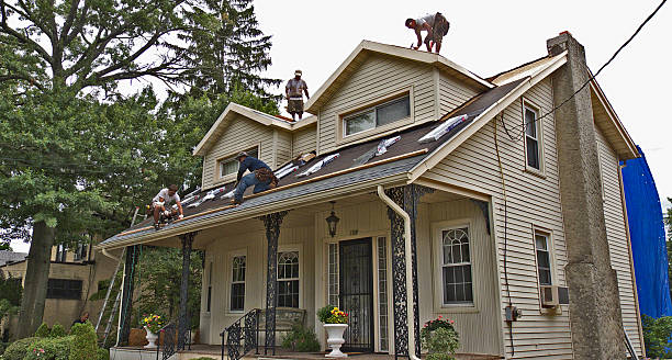 Best Shingle Roofing Installation  in Montgomery, IN