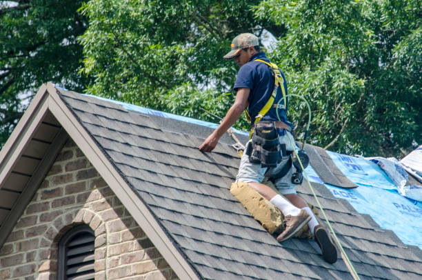Best Roof Gutter Cleaning  in Montgomery, IN